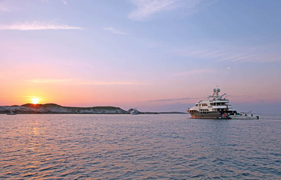 pmyp-110800-ftl-1_550w.jpg promo image