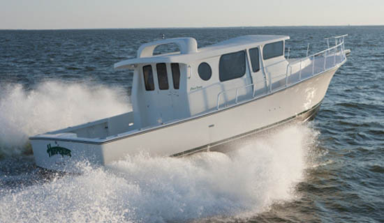 henriques42_550w.jpg promo image henriques42_550w.jpg promo image
