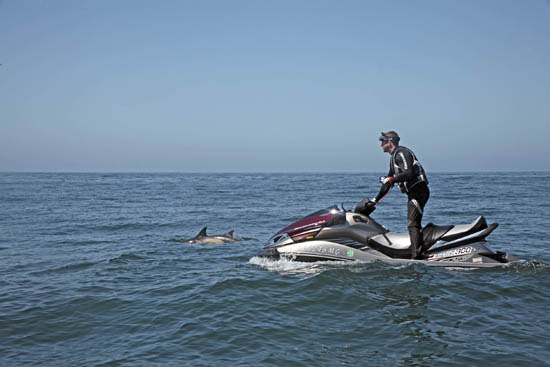 Josh BurnsThe author communes with Flipper.