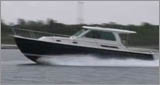 BackCove33_160x85.jpg promo image