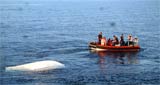 rescue_beacon_160x85.jpg promo image
