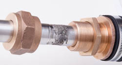 250w_Stuffing_Box-1.jpg promo image