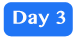 Day 3 Day 3