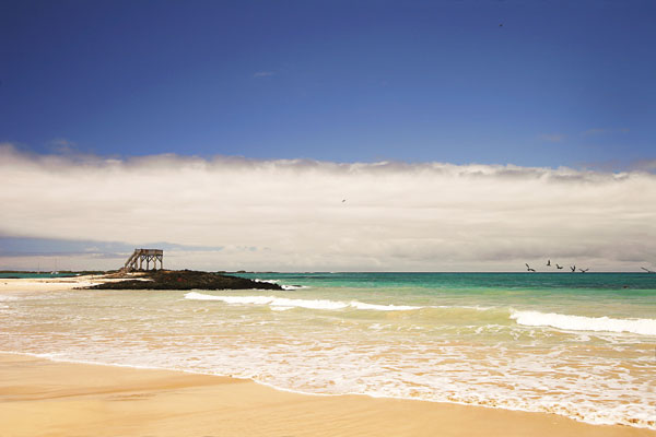 Galápagos Islands