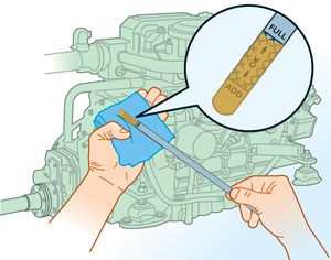 Check your oil levels when the engine is cool for an accurate reading. Check your oil levels when the engine is cool for an accurate reading.