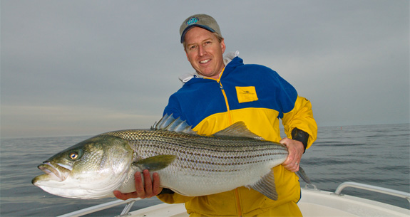 striper_575x305.jpg promo image