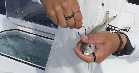 fishing_575x305.jpg promo image