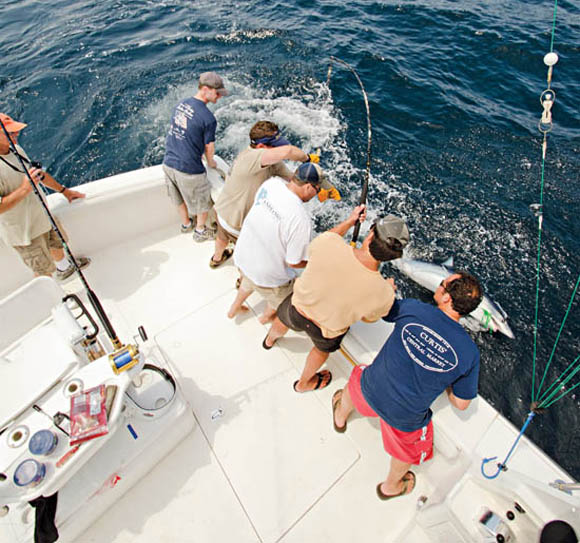 Mako fishing Mako fishing