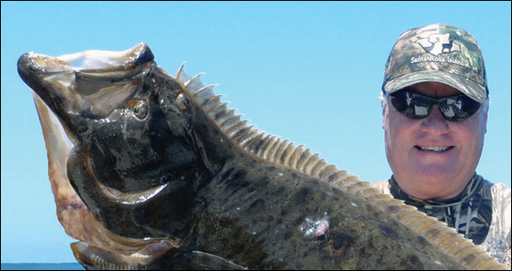 halibut_575x305.jpg promo image