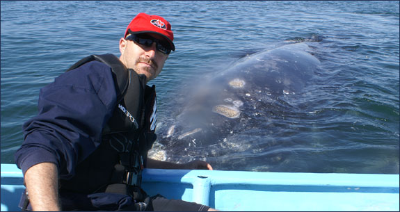 Wolf-Whale-575x305.jpg promo image