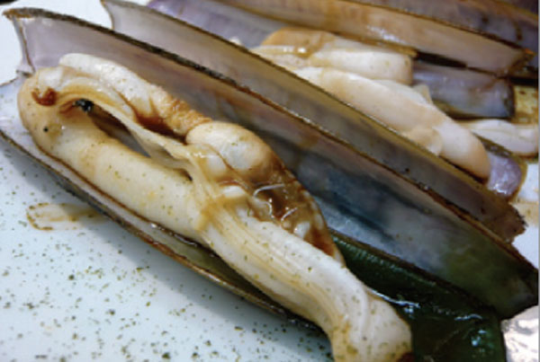 Razor clams