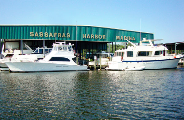 Sassafras Harbor Marina