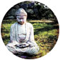 budda_85x.jpg promo image