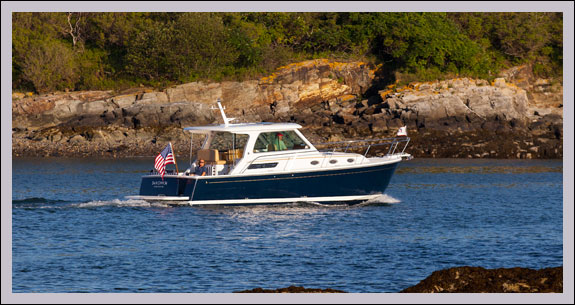 backcove34-photo-575x305.jpg promo image