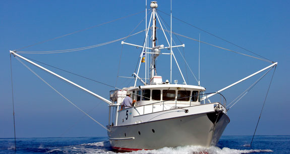 paravane_prm.jpg promo image
