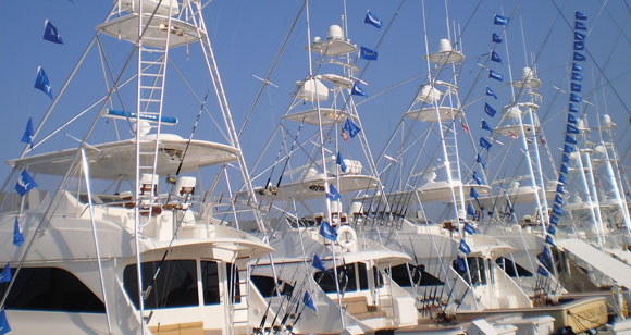 marlin-flags-prm.jpg promo image