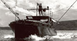 P038_PMY1404_prm.jpg promo image