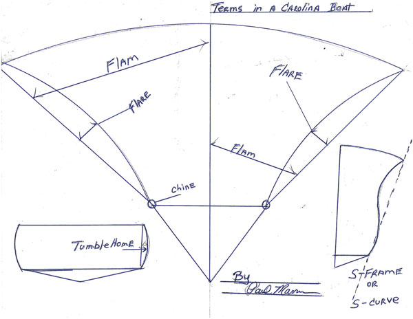 Carolina Flare drawing by Paul Mann
