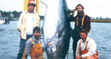 tuna_prm.jpg promo image tuna_prm.jpg promo image
