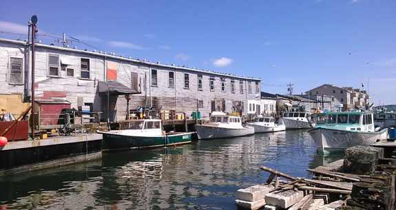 Porland_prm.jpg promo image