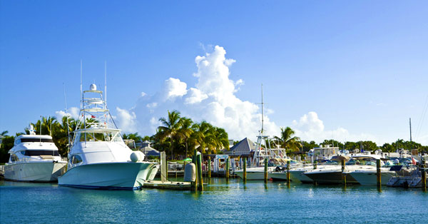 Conch Harbor Marina