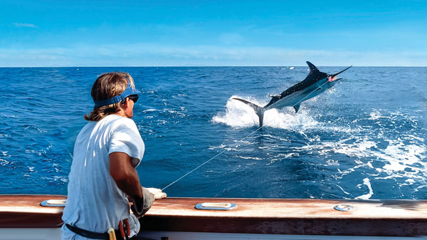 Marlin Marlin