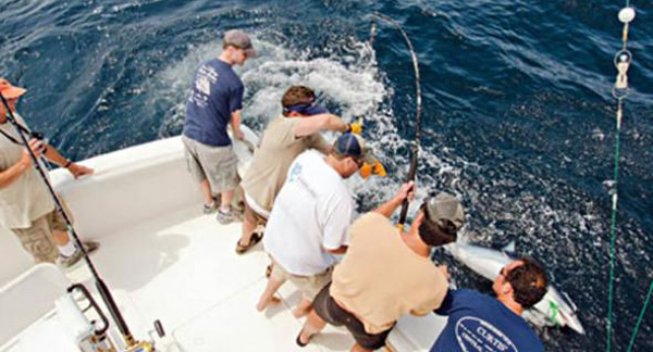The crew of Andiamo hooks up with a shark.