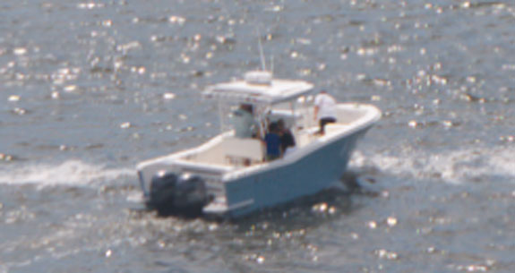 striper_270_prm.jpg promo image