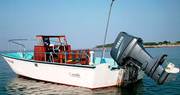 bostonwhaler16_prm.jpg promo image