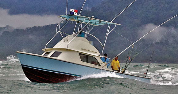 Bertram-31_prm.jpg promo image