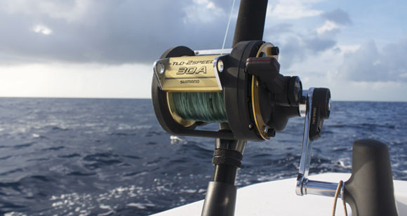 reel-prm.jpg promo image