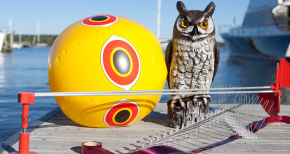 bird-repellents-prm.jpg promo image