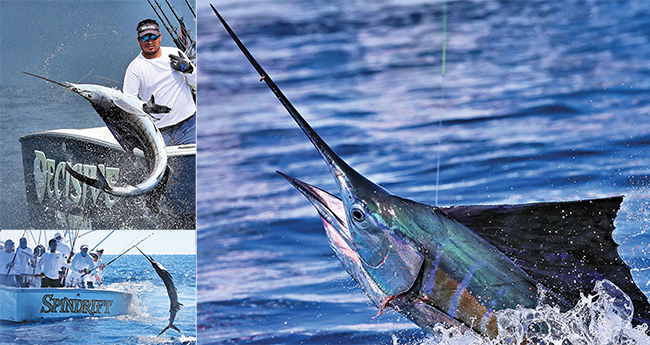 guatemala-prm650.jpg promo image
