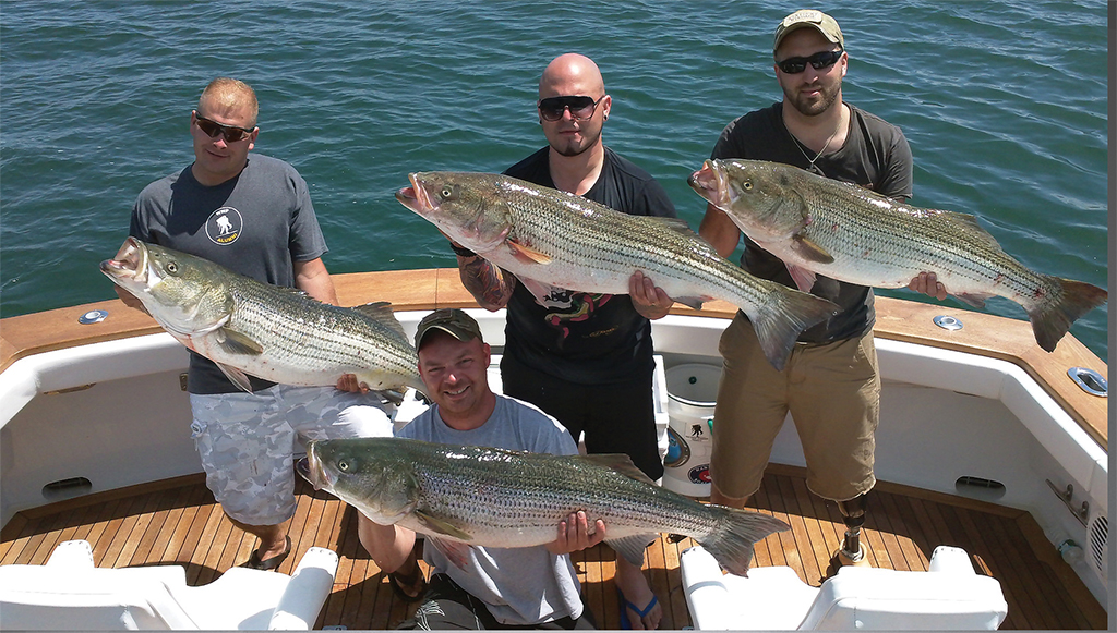 Striped Bass catch Striped Bass catch