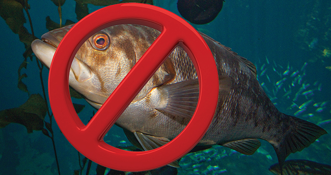 no-fishing-prm650.jpg promo image no-fishing-prm650.jpg promo image
