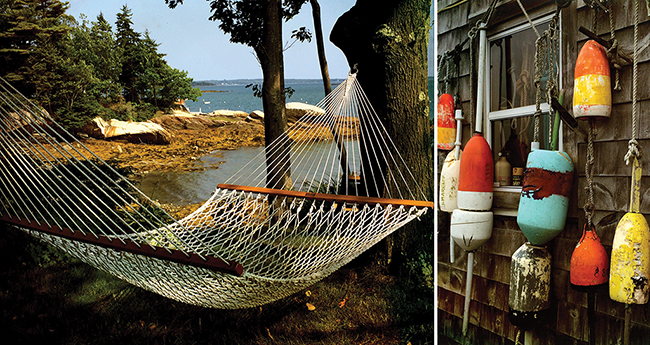 maine-prm650-site.jpg promo image