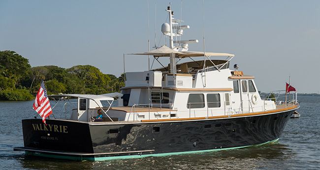 Valkyrie-stern-prm650.jpg promo image Valkyrie-stern-prm650.jpg promo image