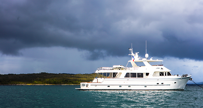 outerreef-horn-prm65.jpg promo image