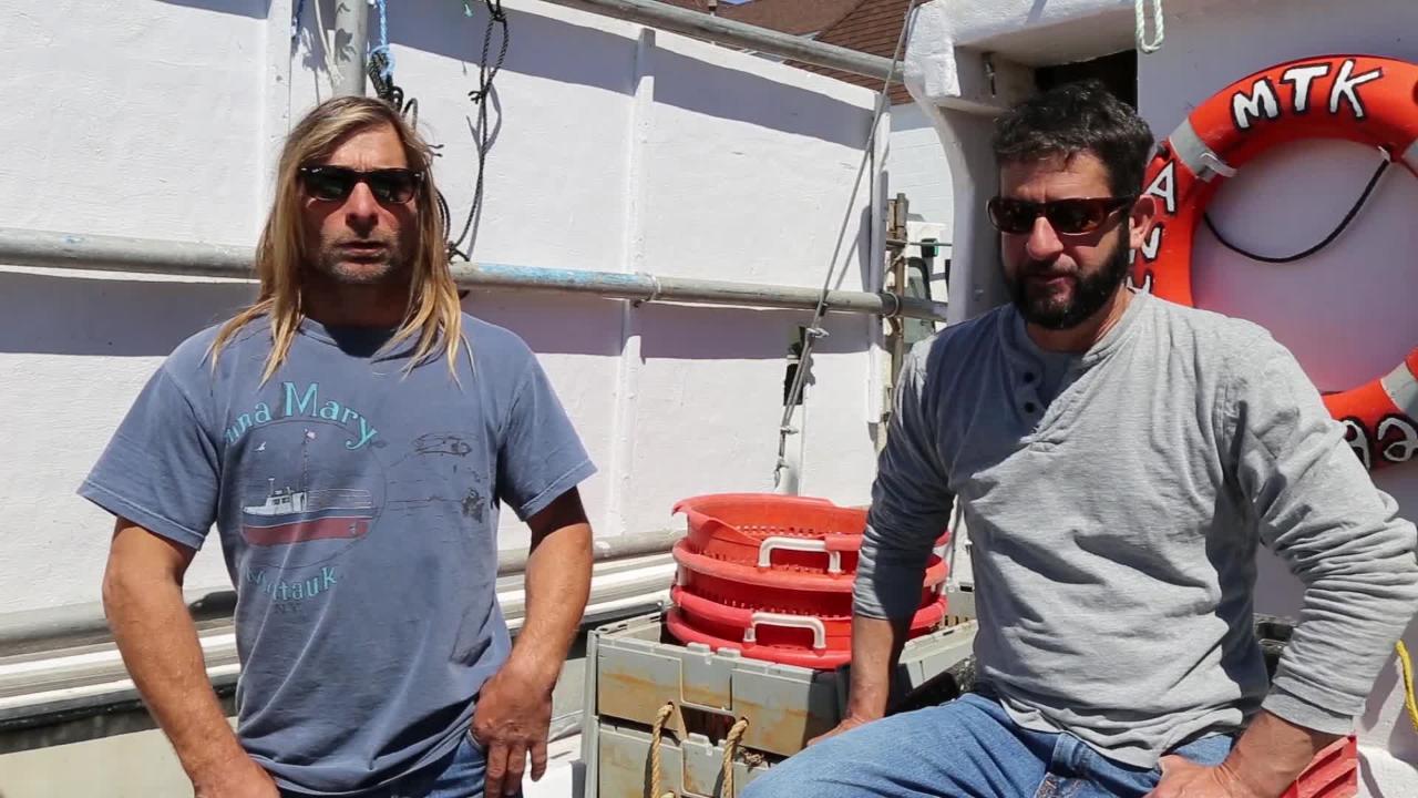 "A Speck in the Sea" interview.