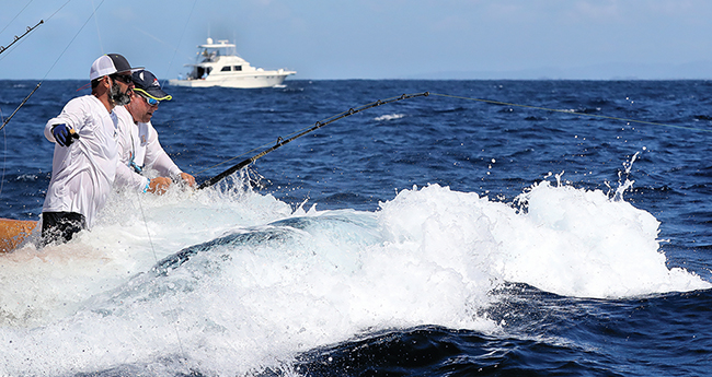 backing-down-prm650.jpg promo image