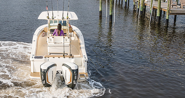prm6590-evinrude-idock.jpg promo image prm6590-evinrude-idock.jpg promo image