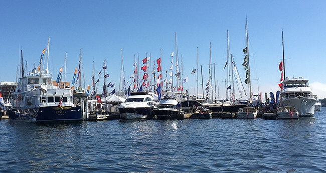 newport2017_gallery-prm650.jpg promo image