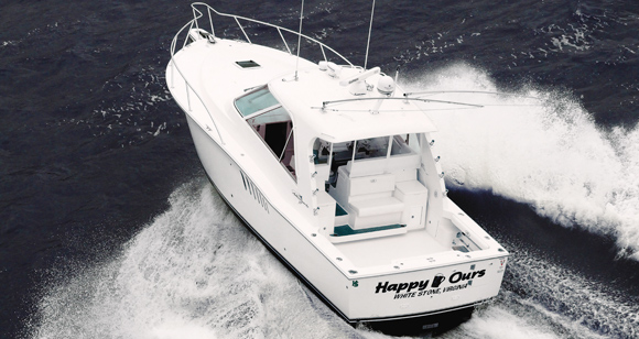 Albemarle_360_prm.jpg promo image