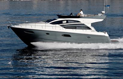 Rodman Muse 44