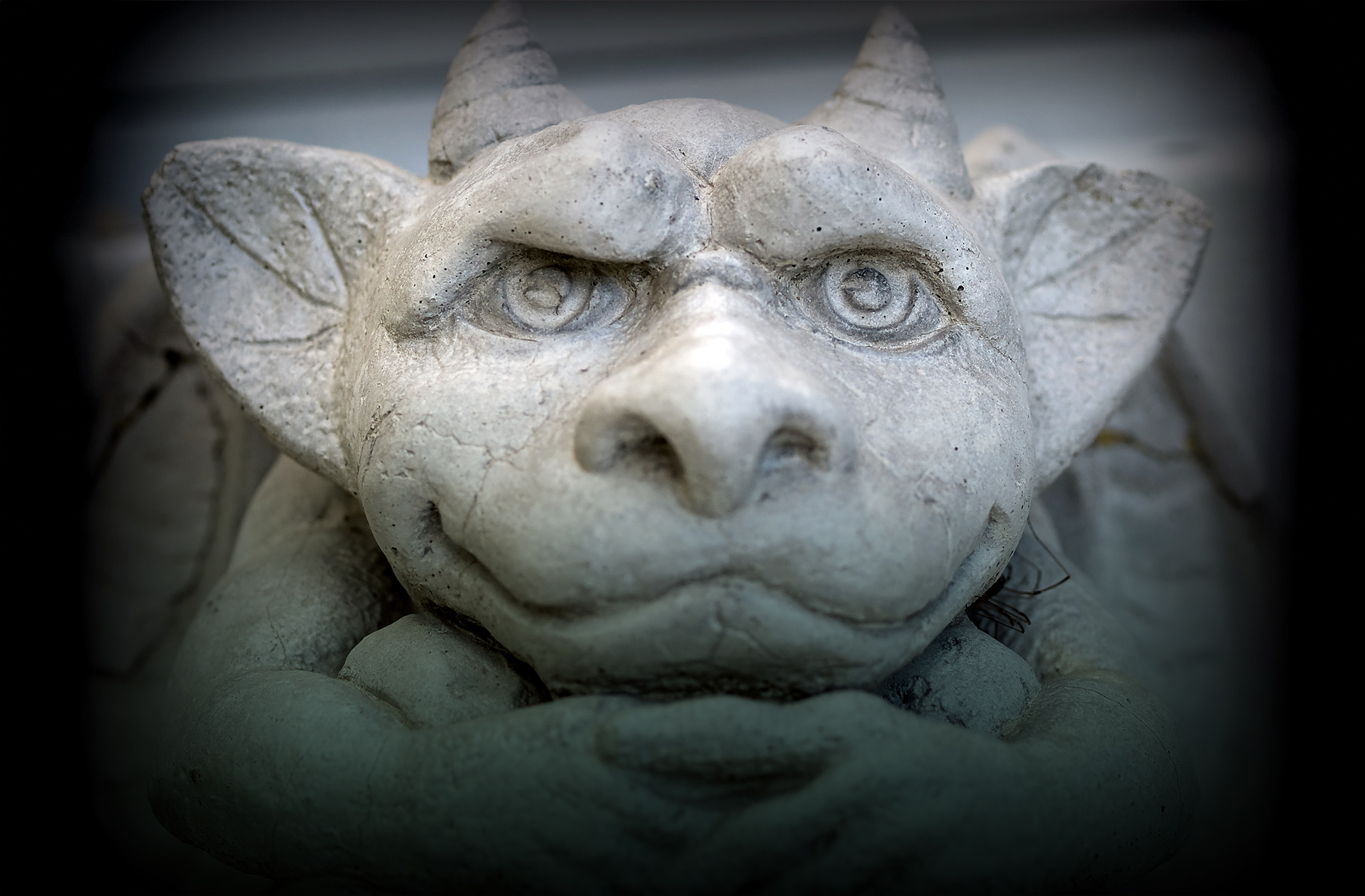 Gargoyle Statue Emphasis on Face and Eyes with a Dark Border