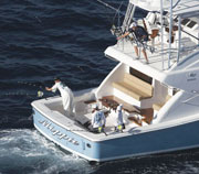 Fishing on the Bertram 64
