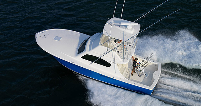 Billfish-37-prm650.jpg promo image