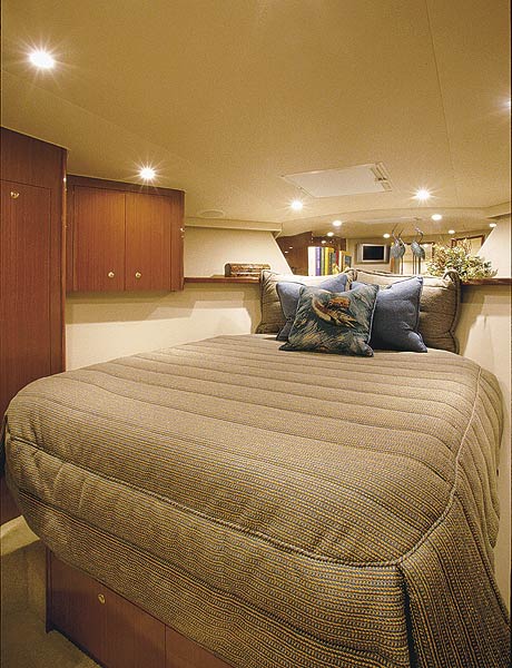 viking45-yacht-g4.jpg promo image