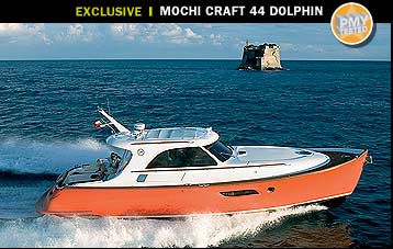 mochi44-dolphin-main.jpg promo image