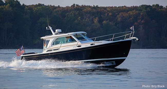 back-cove-32-prm650.jpg promo image